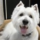 Su primer corte de pelo